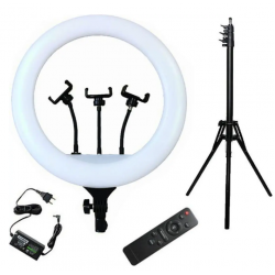 Φωτιστικό Ring Light YQ-580 58cm με Τρίποδο Δαπέδου και Βάση Κινητού Φωτιστικό Ring Light YQ-580 58cm με Τρίποδο Δαπέδου και Βάση Κινητού