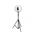 Επαγγελματικό Φωτογραφικό Δαχτυλίδι Ring Light 26 Cm Με Τρίποδο 170 Cm Και Βάση Κινητού
