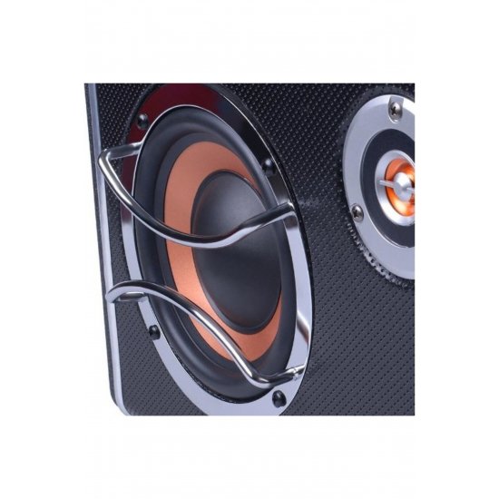 Subwoofer αυτοκινήτου με ενισχυτή – CTC-8030 – F-8 – 80W