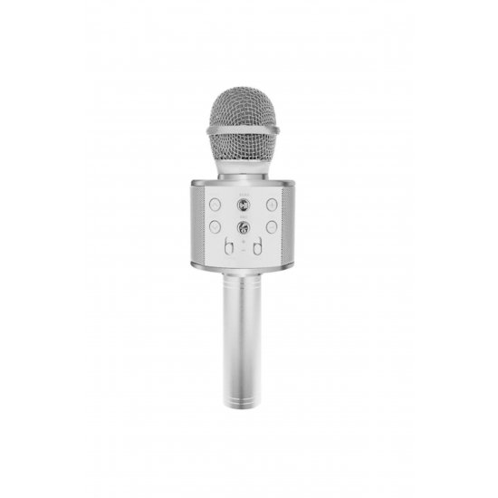 Μικρόφωνο LikeSmart Karaoke Singer για παιδιά