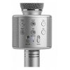 Μικρόφωνο LikeSmart Karaoke Singer για παιδιά