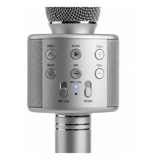 Μικρόφωνο LikeSmart Karaoke Singer για παιδιά