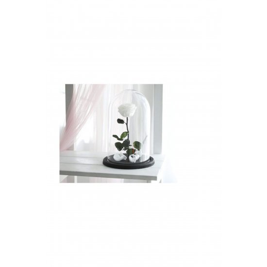 Eternal Rose White 22cm σε Yala με LED Κωδικός: B076F6Z3B5 Eternal Rose White 22cm σε Yala με LED Κωδικός: B076F6Z3B5