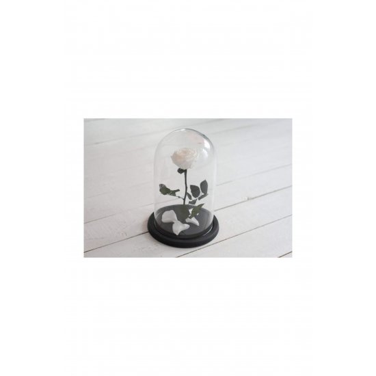Eternal Rose White 22cm σε Yala με LED Κωδικός: B076F6Z3B5 Eternal Rose White 22cm σε Yala με LED Κωδικός: B076F6Z3B5