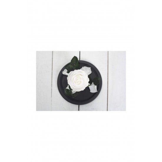 Eternal Rose White 22cm σε Yala με LED Κωδικός: B076F6Z3B5 Eternal Rose White 22cm σε Yala με LED Κωδικός: B076F6Z3B5