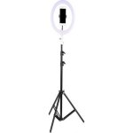 Δαχτυλίδι LED Τρίποδο USB 1,6m 26cm 2500 - 4500K με τρίποδο δαπέδου και βάση κινητού τηλεφώνου