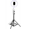 Φωτιστικό δαχτυλιδιού LED USB Ring Light 26cm 2500 - 4500K με τρίποδο δαπέδου και βάση κινητού τηλεφώνου