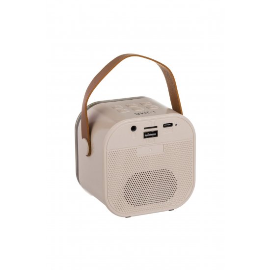 Σετ ηχείων Karaoke 5W με φως RGB & 2 ασύρματα μικρόφωνα