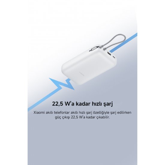 Power Bank 20000mAh (Ενσωματωμένο καλώδιο) Ανοιχτό γκρι