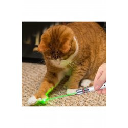Φακός LED με Laser Pointer, USB, Μαύρος, 14 cm