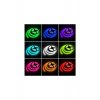 Κιτ λωρίδων LED RGB με τηλεχειριστήριο, 5m, 270 LED, αδιάβροχο Πολύχρωμο