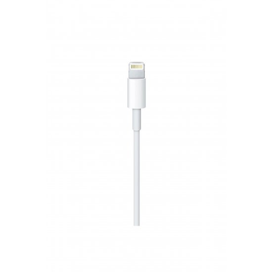 Καλώδιο δεδομένων συμβατό με IPhone 1 m μαζικό, λευκό
