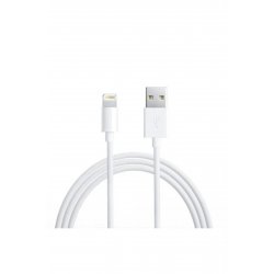 Καλώδιο δεδομένων Lightning Fast Charging 5A 1m Λευκό